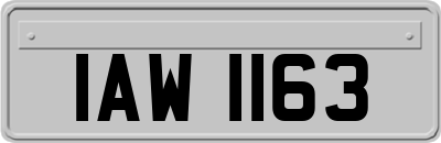 IAW1163