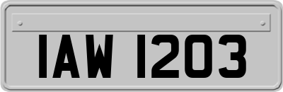 IAW1203