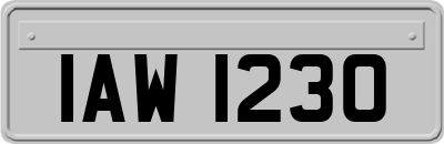 IAW1230