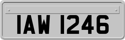 IAW1246