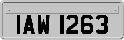 IAW1263