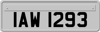 IAW1293