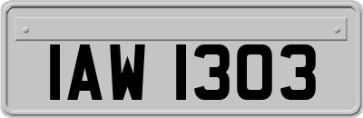 IAW1303