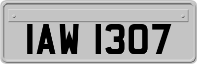 IAW1307