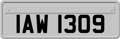 IAW1309