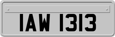IAW1313