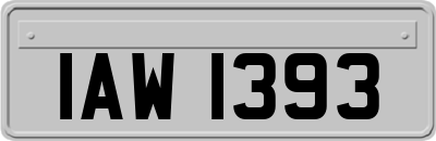 IAW1393