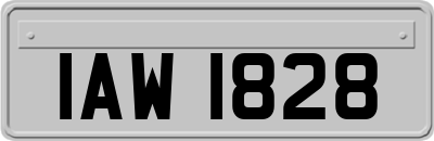 IAW1828