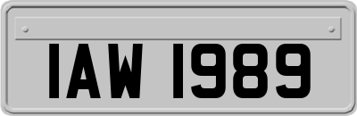 IAW1989