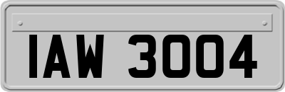 IAW3004