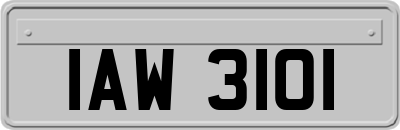 IAW3101