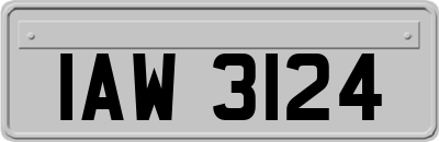 IAW3124