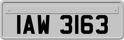 IAW3163