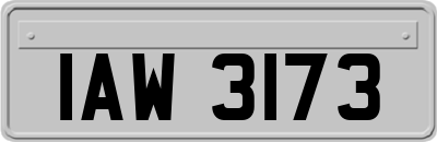 IAW3173