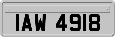 IAW4918