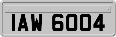 IAW6004