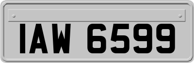 IAW6599