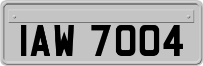 IAW7004