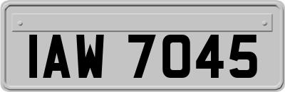 IAW7045