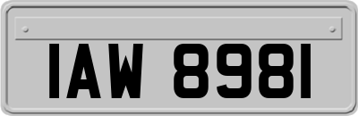 IAW8981