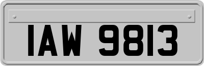 IAW9813