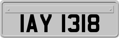 IAY1318