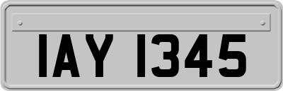 IAY1345