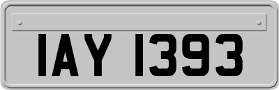 IAY1393