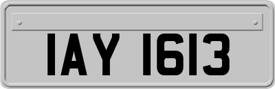 IAY1613