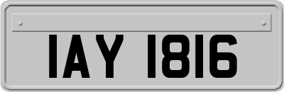 IAY1816