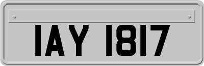 IAY1817