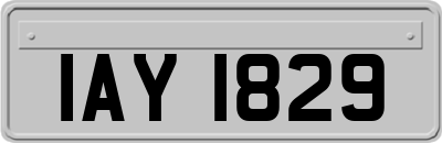IAY1829