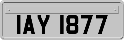 IAY1877