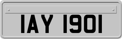 IAY1901