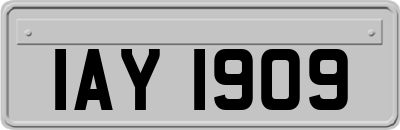 IAY1909