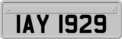 IAY1929