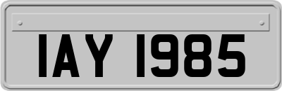 IAY1985