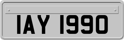 IAY1990