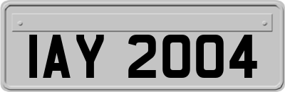 IAY2004