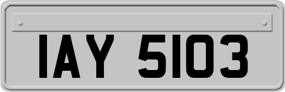 IAY5103