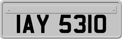 IAY5310