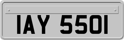 IAY5501