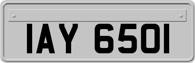 IAY6501