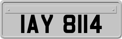 IAY8114