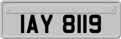 IAY8119