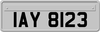 IAY8123