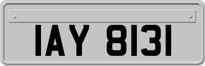 IAY8131