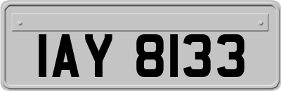 IAY8133