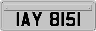 IAY8151