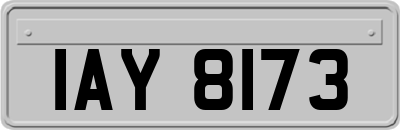 IAY8173